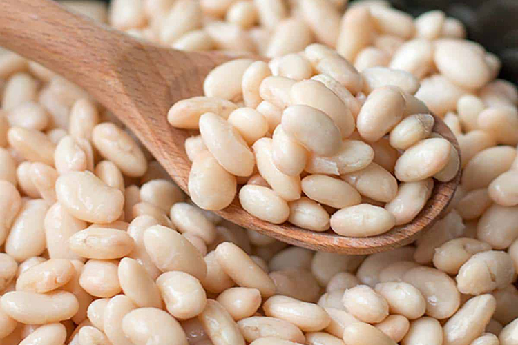 Cooked Dried White Beans Meals on Wheels PLUS of Manatee