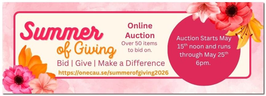 Summer of Giving Auction
